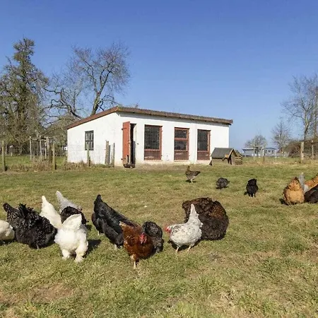 Holoiday House Starboard